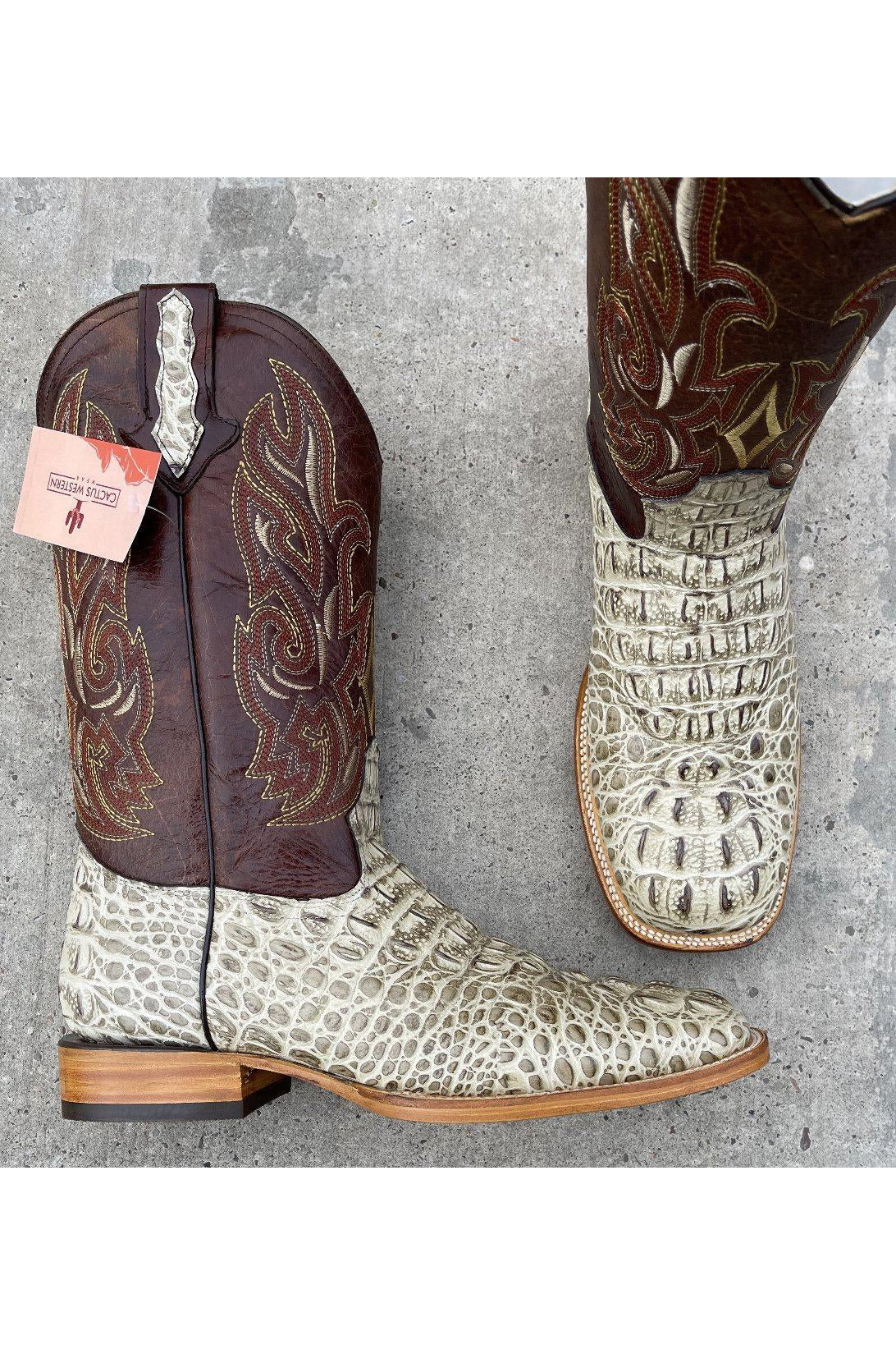 Cactus Exotic Men's Caiman Belly Bone