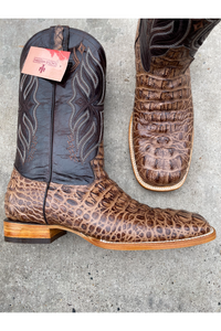 Cactus Exotic Men's Old West Caiman Belly
